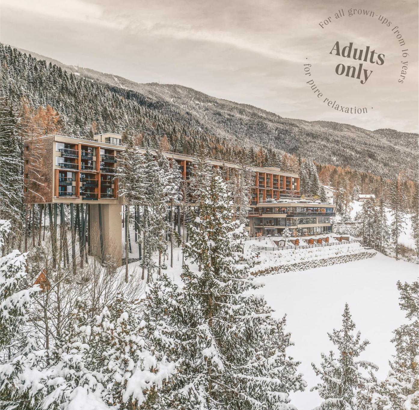 My Arbor - Dolomites Hotel Bressanone Exterior foto The 7132 Summit